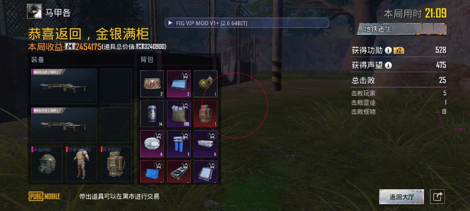 和平精英辅助软件的发展与影响分析